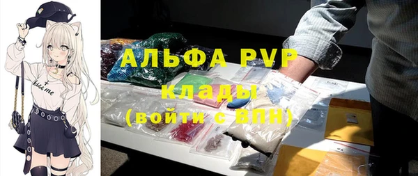 эйфоретик Белокуриха