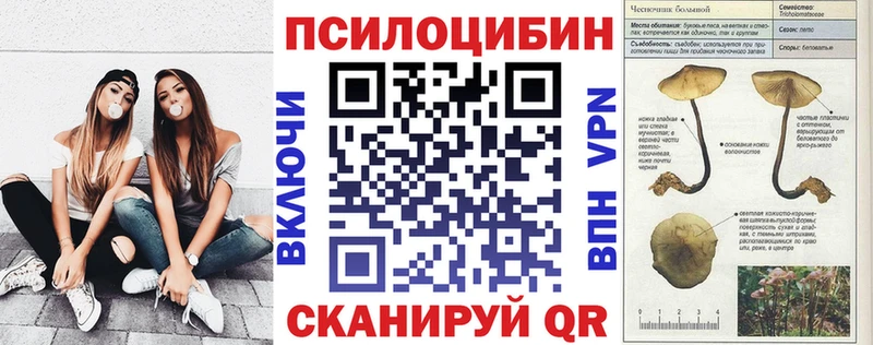 купить наркотик  Воркута  Галлюциногенные грибы мицелий 